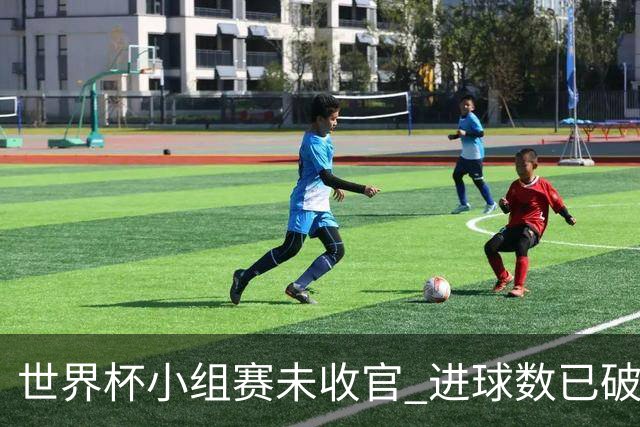 世界杯小组赛未收官 进球数已破单届历史纪录