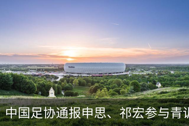 中国足协通报申思、祁宏参与青训事件