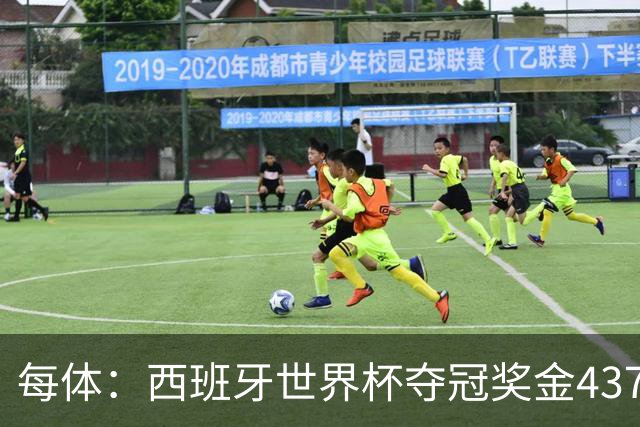 每体：西班牙世界杯夺冠奖金4370万欧元