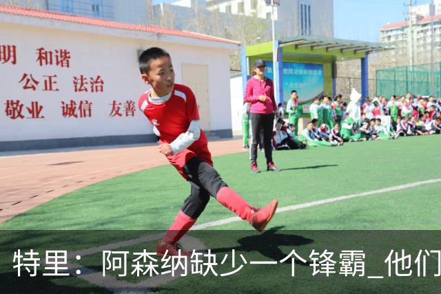 特里：阿森纳缺少一个锋霸 他们距离统治英超只差1、2笔签约